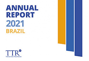 Brasil - Informe Anual 2021